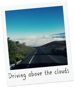 Processed with VSCOcam with g3 preset